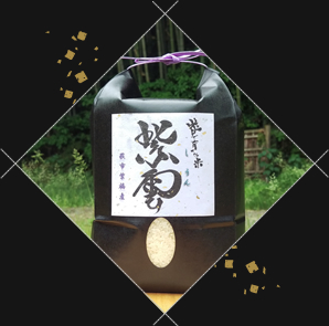 名前へのこだわり